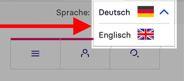 Eine Ansicht des Sprachwechslers auf der Website. Eine Ansicht des Sprachwechslers auf der Website.
